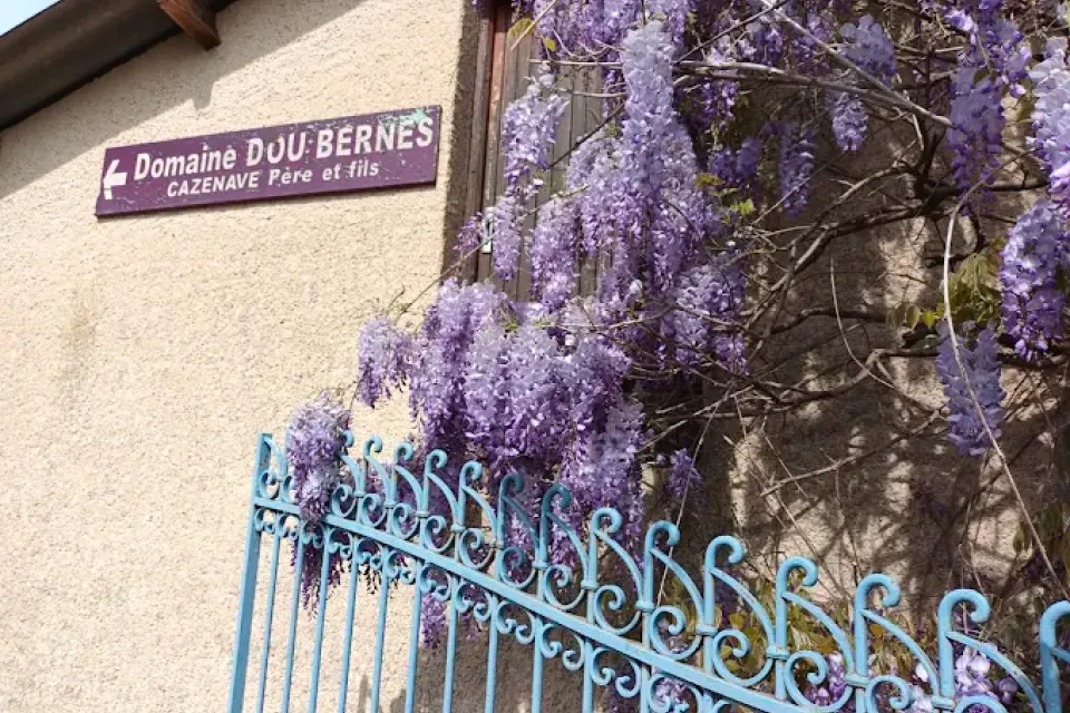 Producteurs de vins dans les Pyrénées-Atlantiques