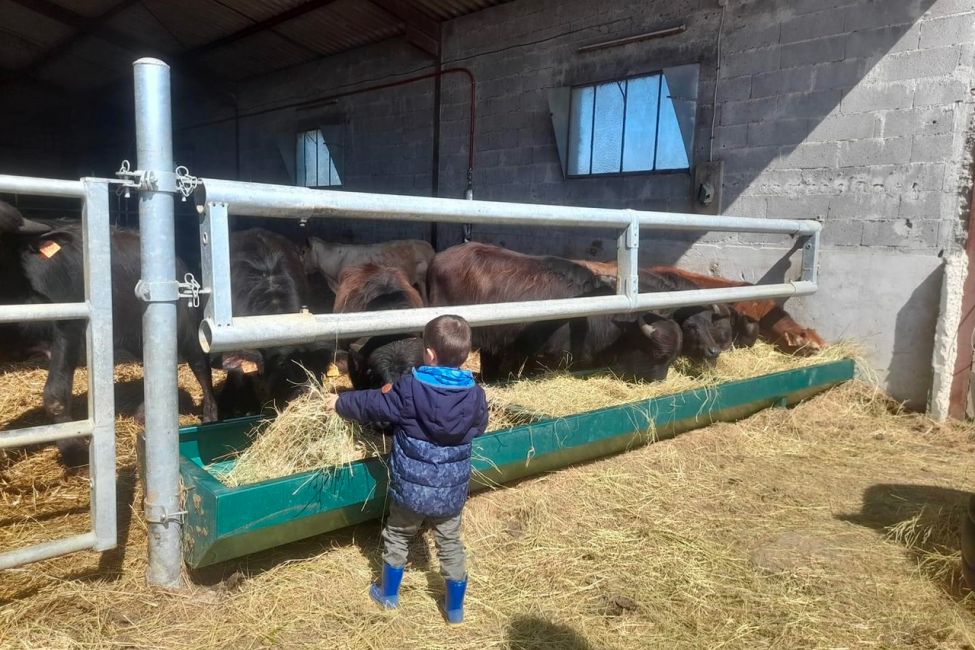 L'Bufala Ferme