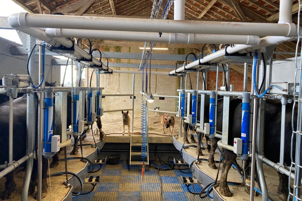L'Bufala Ferme