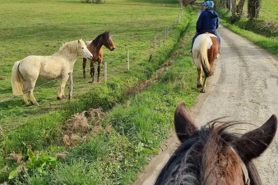 Lou Petit Trott, partez pour une randonnée à c ...