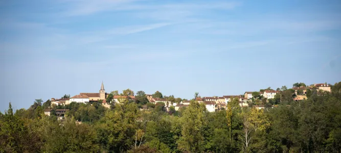 Montesquiou